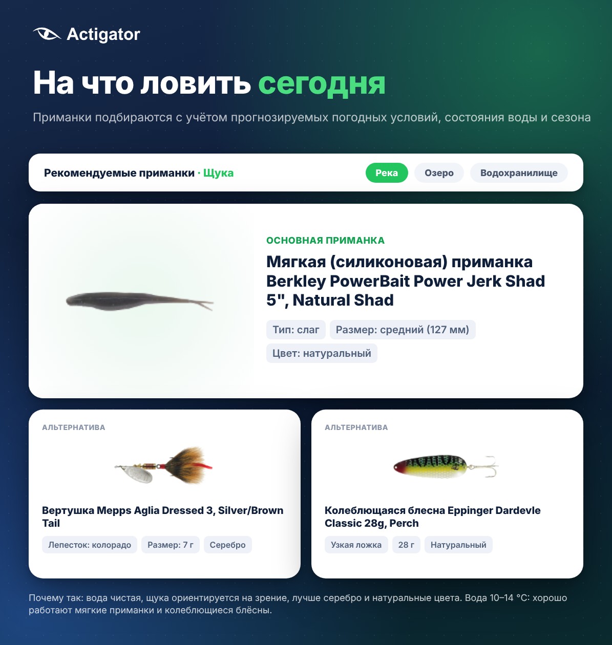 Рекомендуемые приманки Actigator на сегодня: основная приманка и альтернативы для щуки