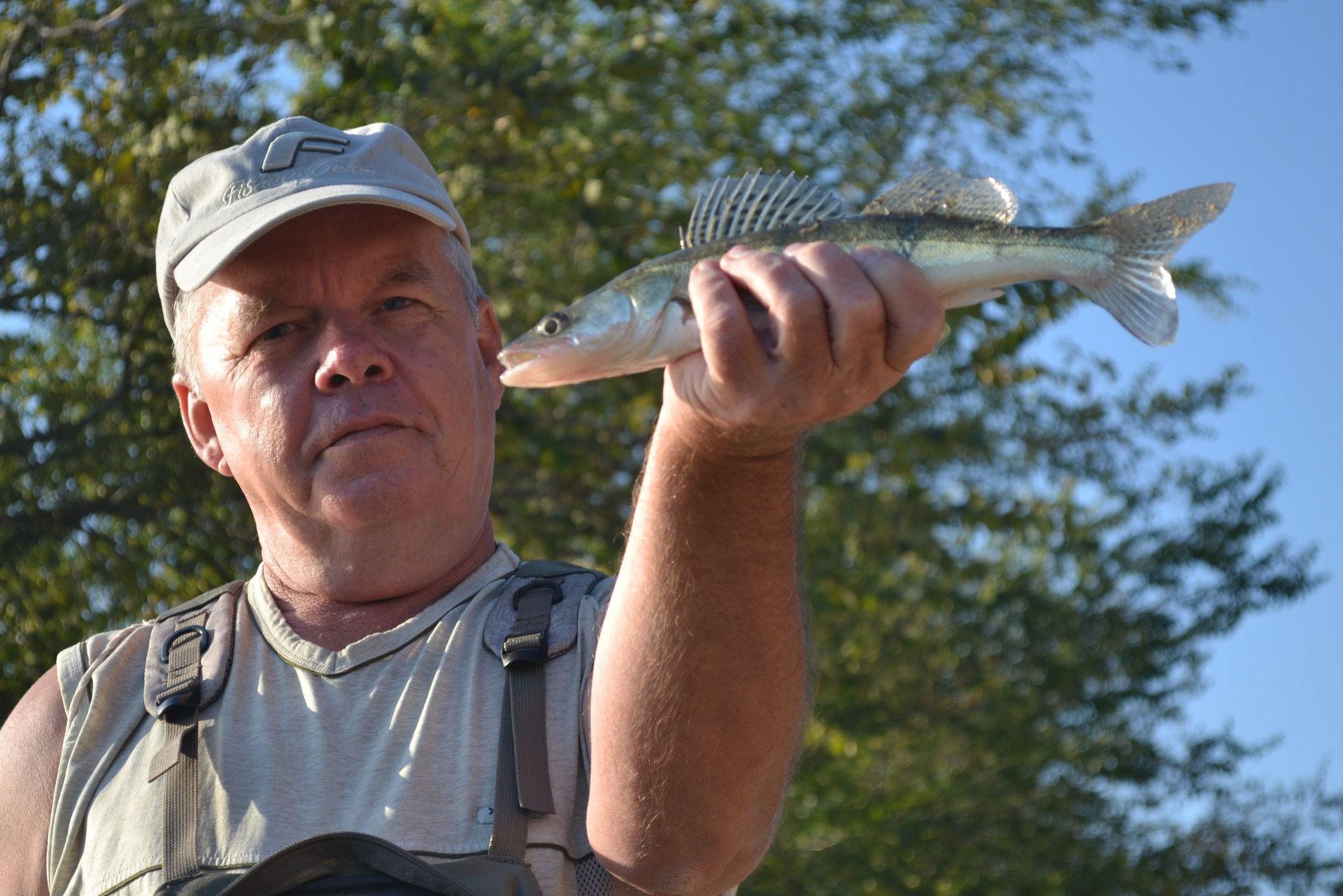  Аватар користувача